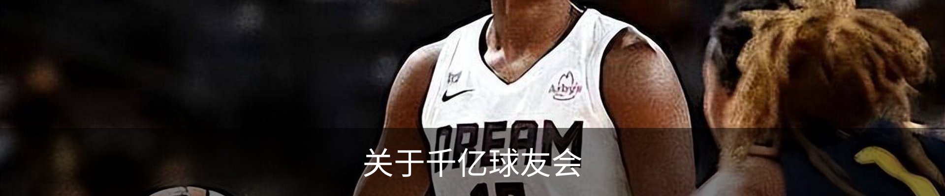 关于千亿球友会